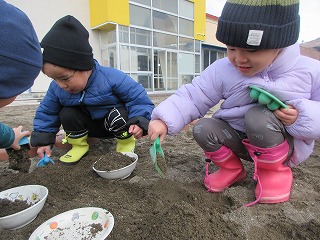 �R���X�`�P�R��