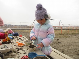 �R���X�`�P�R��