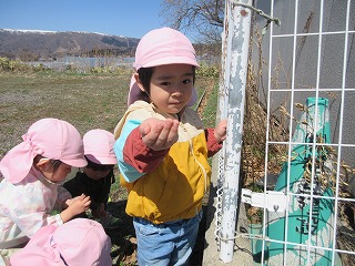 4��6���`4��10��