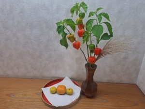 �����������܂����I