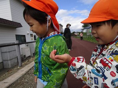 ���݂���g�H��