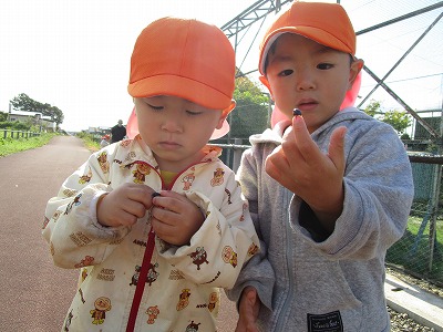 ���݂���g�H��