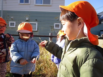 ���݂���g�H��