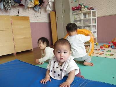 ���������ڑg�H��