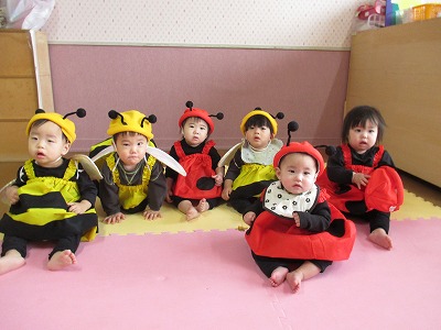 ���������ڑg�H��