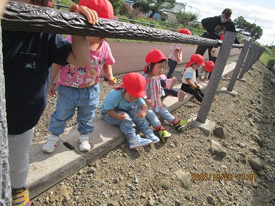 ���������g�H��