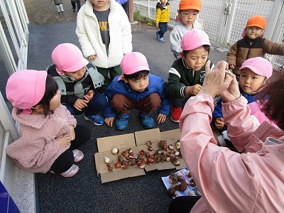 �������g�H��