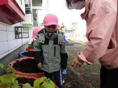 �������g�H��