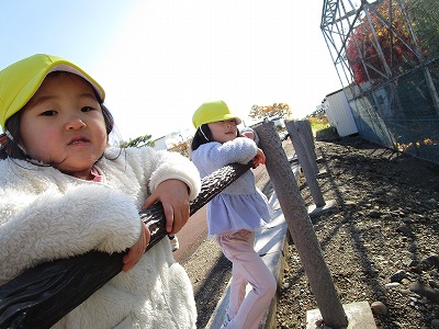 ���΂Ȃȑg�H��